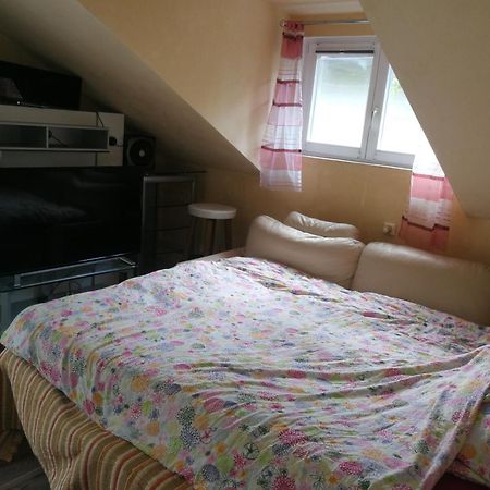 Wohlfuehloase - Zimmer, Appartment - Im Herzen Starnbergs Chambre photo